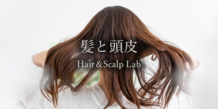 髪と頭皮